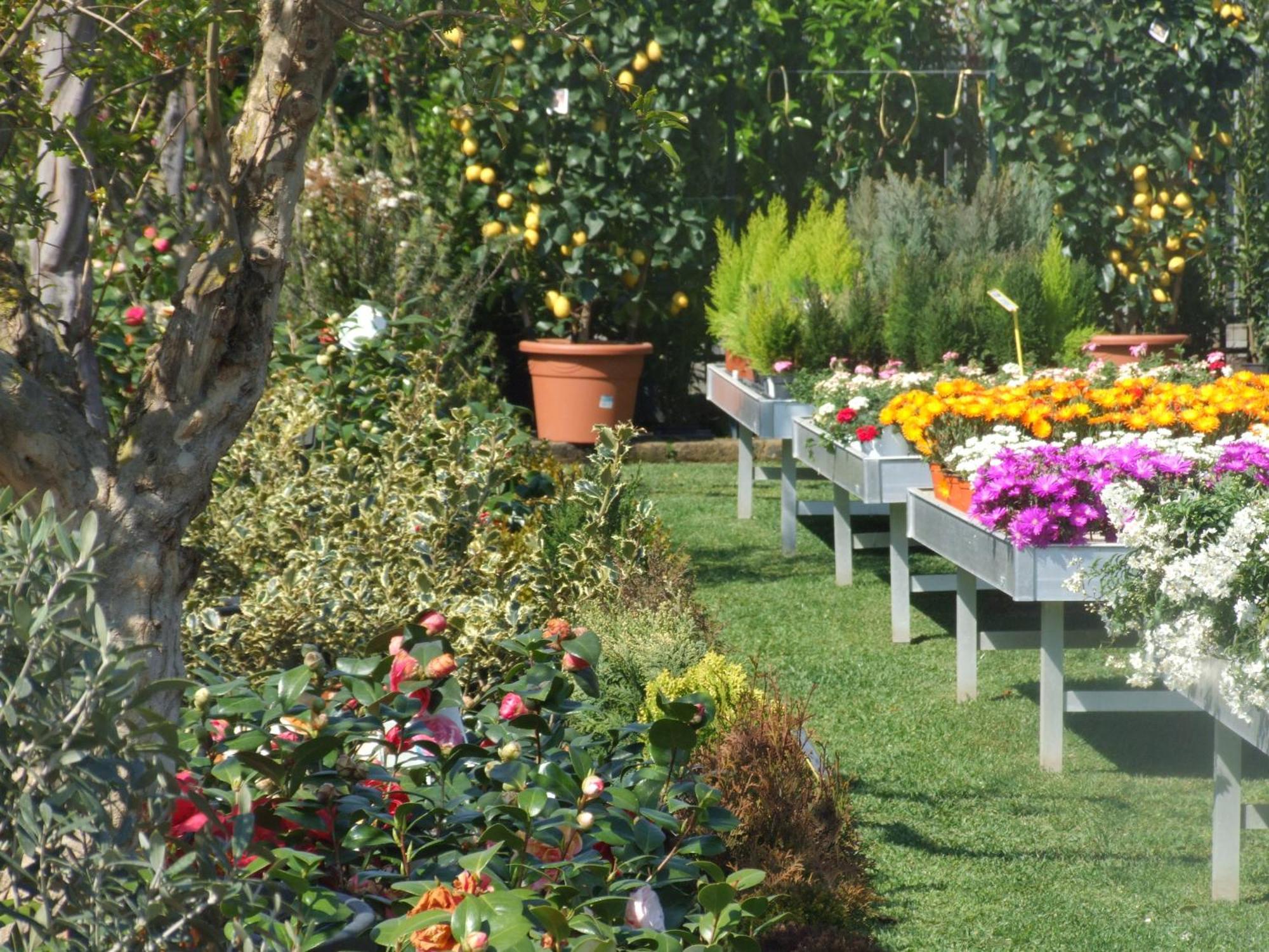 Residenza I Ciclamini Bed & Breakfast Rome Exterior photo
